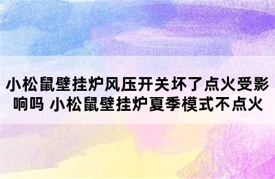 小松鼠壁挂炉风压开关坏了点火受影响吗 小松鼠壁挂炉夏季模式不点火